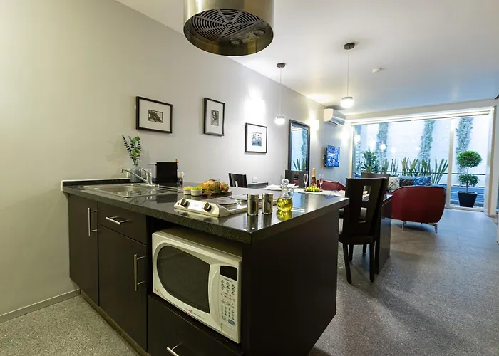 Masaryk 123 Executive Luxury In Polanco Apartment